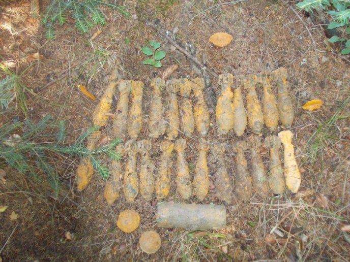 На Рахівщині піротехніки знешкодили вибухонебезпечний арсенал – 02