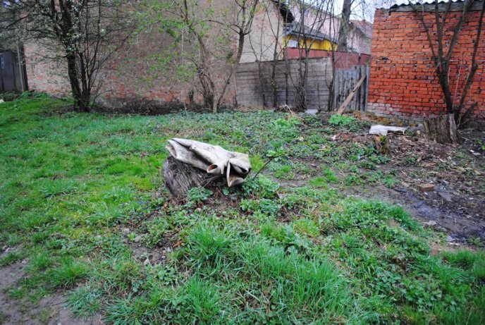 Толока в Мукачеві крізь об’єктив нашого кореспондента (ФОТОРЕПОРТАЖ) – 11