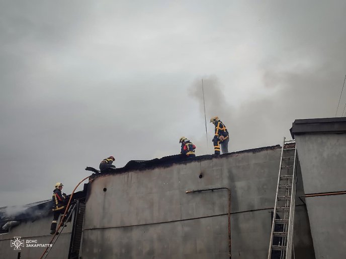 На Виноградівщині сталася масштабна пожежа. Її гасили 62 рятувальники – 04