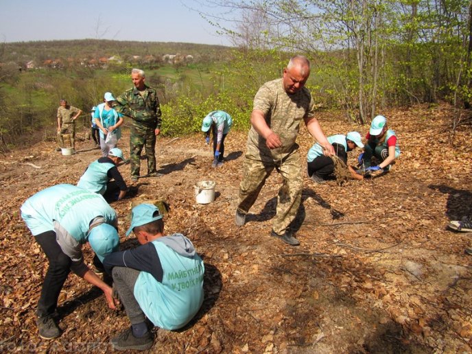 На місці вирубаного лісу у Мукачівському районі висадили цінні породи дерев – 06