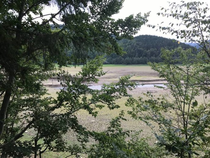 Пустеля серед лісу: як виглядає осушене Вільшанське водосховище – 08