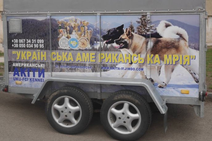 В обласному центрі стартувала міжнародна виставка собак – 07