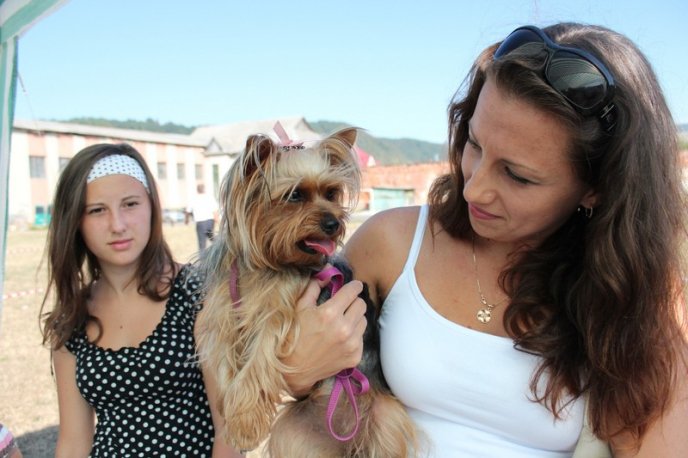 У Хусті відбудеться Національна виставка собак усіх порід (ФОТО) – 03