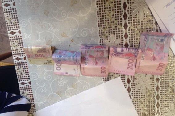 На Мукачівщині дама з собачкою обікрала ветеринара – 02