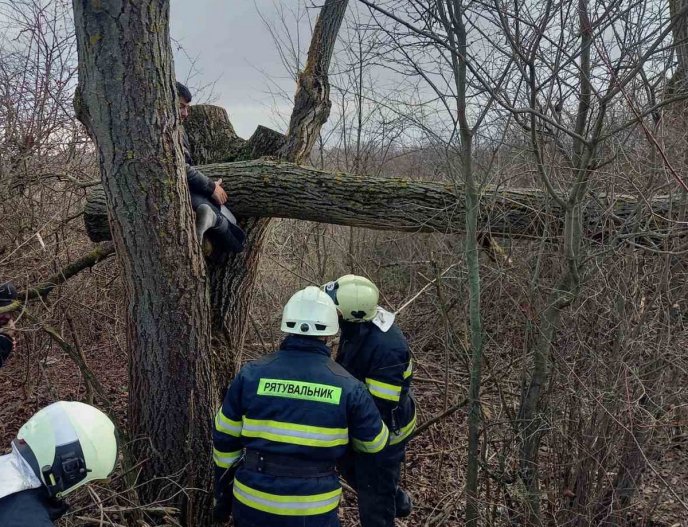 Із чоловіком на околиці села стався нещасний випадок – 01
