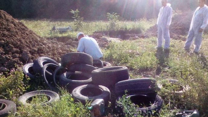 Спочатку тварин присипили, потім скинули у скотомогильник, далі спалили: як на Мукачівщині свиней утилізовують – 04