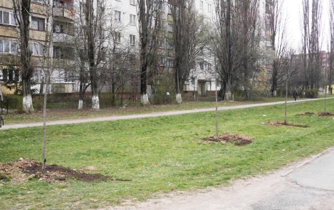 В Ужгороді відбувся загальноміський суботник – 14