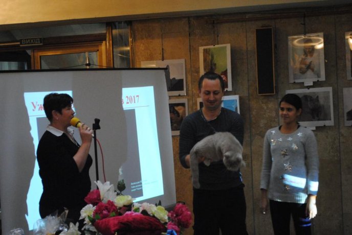 В Ужгороді відбувся конкурс краси серед котів "Міс Кіс – 2017" – 07