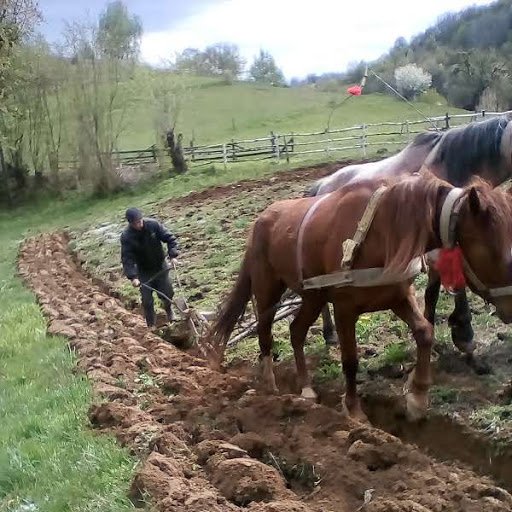На Свалявщині селяни почати орати землю – 06