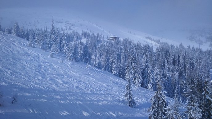 Москаль відвідав курорт на Драгобраті, де сталась резонансна бійка – 03