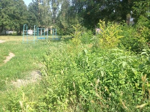 У Мукачеві муніципальні поліцейські склали два протоколи на обслуговуючу компанію за неналежне утримання прибудинкових територій – 01