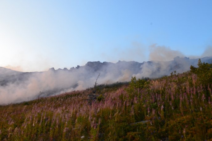 Вогнеборці попередили загорання лісу на високогір’ї Карпат – 02