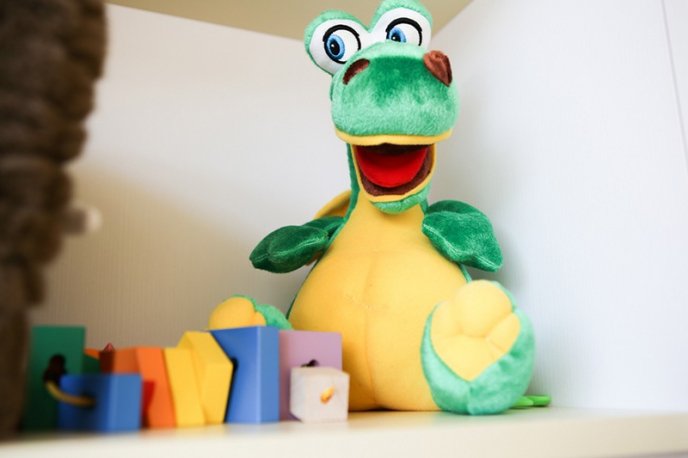 У Мукачеві з’явився унікальний центр розвитку дитини, аналогів якому в області нема – 18