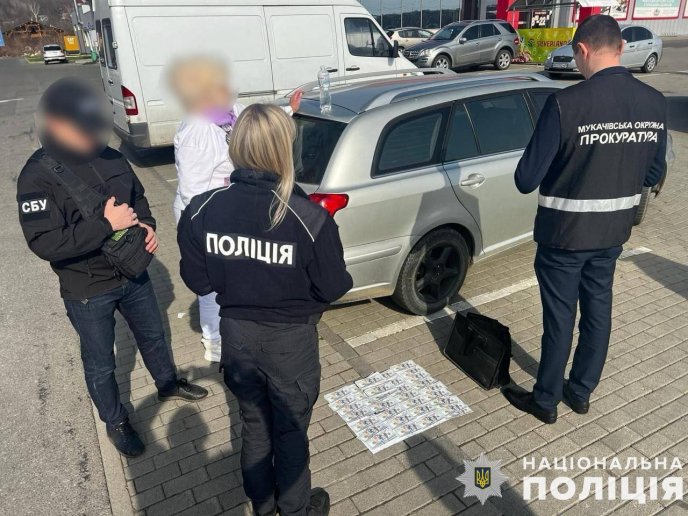 На Закарпатті судитимуть жінку. Відомо, що вона накоїла – 03