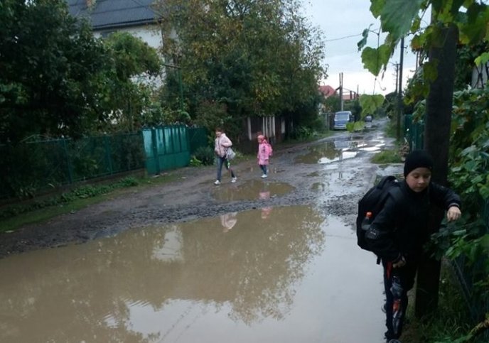 "До школи в обхід калюж": ужгородець сфотографував квест свого сина, як той йде на навчання – 01