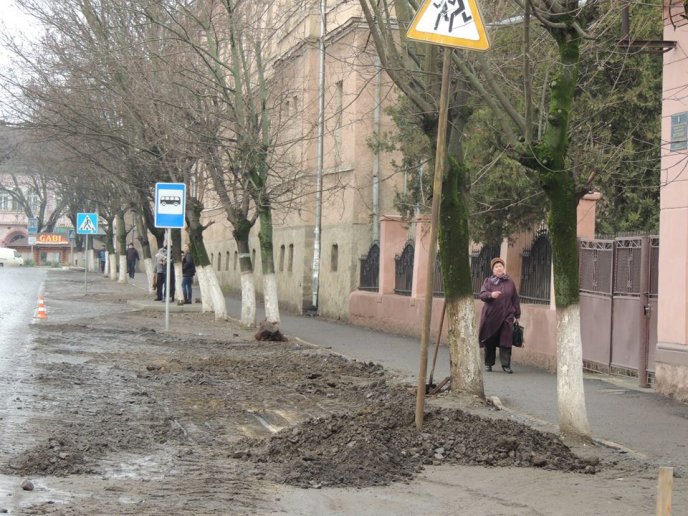 Перед одним із дитсадків Берегова батьки ініціювали облаштування клумби – 01