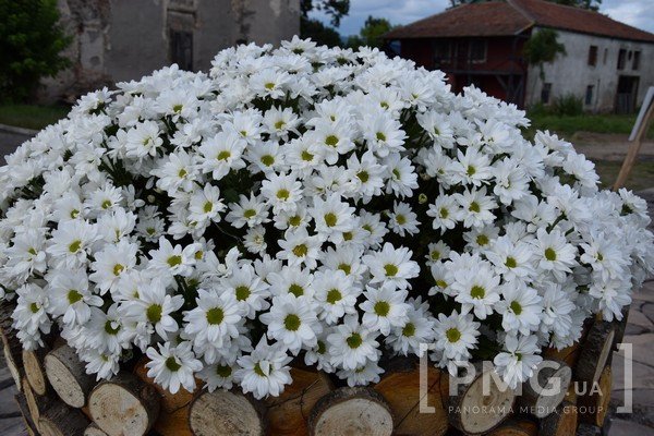 У Чинадієві відбувся фестиваль квітів "Кохання в Сент-Міклоші" – 08