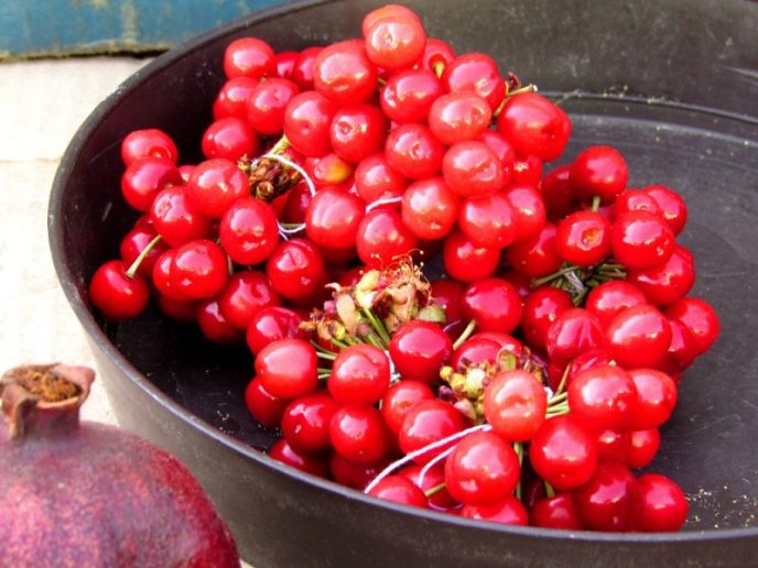На ринку в Мукачеві вже продають черешні, а полуниця відчутно здешевшала – 03