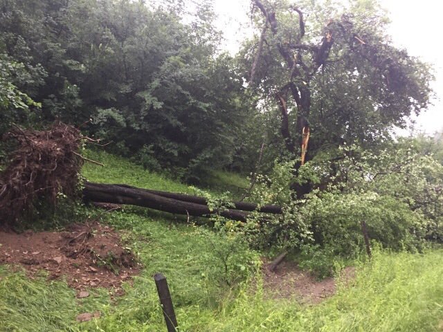 Від буревію постраждала початкова школа – 03