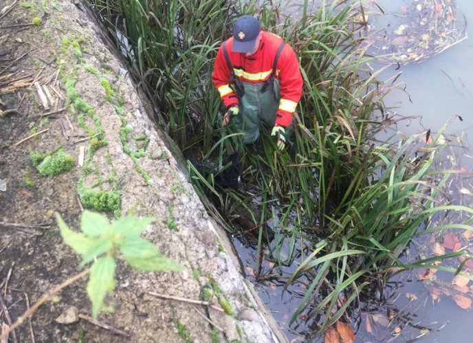 У Хусті врятували собаку, який дві доби провів на острівці посеред річки – 02 У Хусті врятували собаку, який дві доби провів на острівці посеред річки – 02