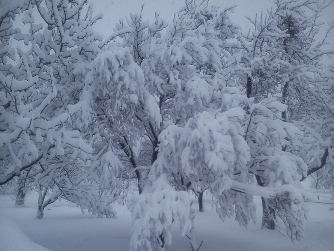 Казкова зима у селі Брестів на Мукачівщині: неймовірні фото – 01