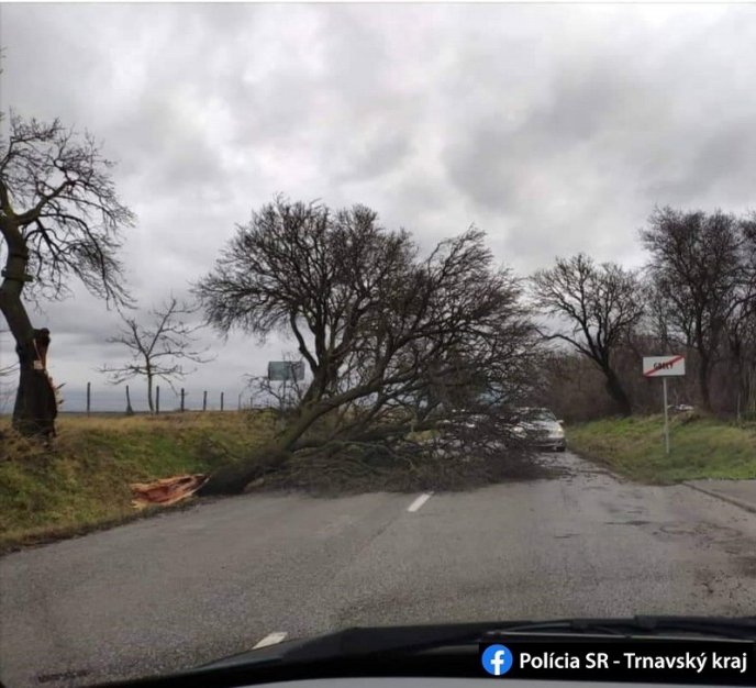 У Словаччині вирувала негода. Сильний вітер перевертав вантажівки – 09