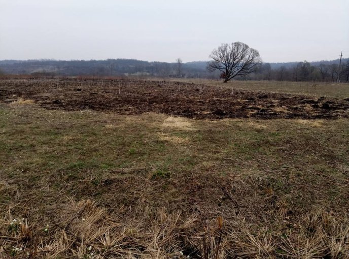 На Закарпатті згоріла Долина нарцисів – 07