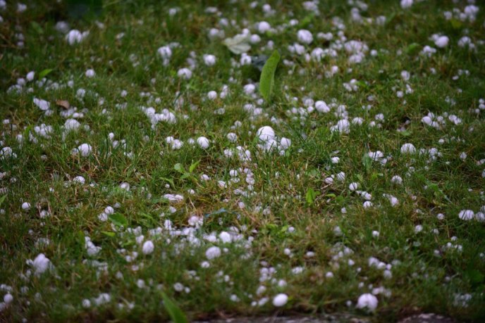 Побиті дахи будинків, вікна, автомобілі: негоду на Виноградівщині вже назвали "катастрофічною" – 06 Побиті дахи будинків, вікна, автомобілі: негоду на Виноградівщині вже назвали "катастрофічною" – 06