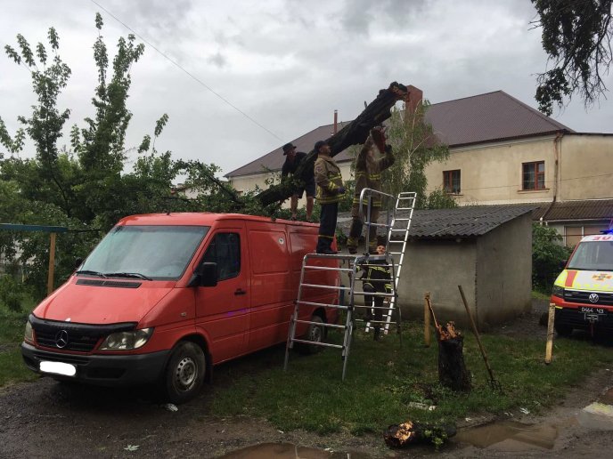 Минулої ночі потужний вітер повалив дерева: постраждало авто – 01
