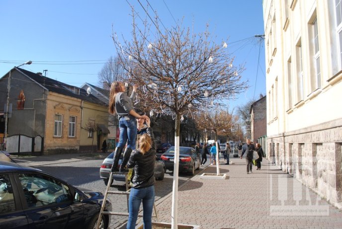 У Мукачеві студенти прикрашають дерева писанками та патріотичними стрічками (ФОТО) – 07