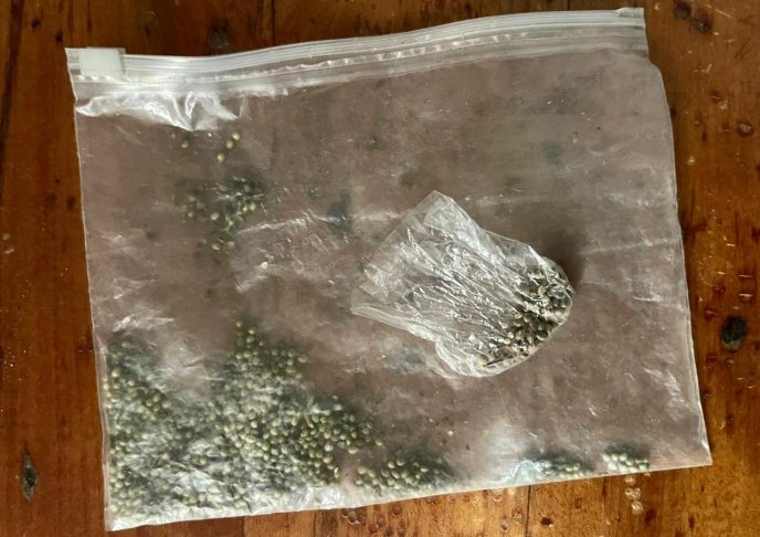 Під час обшуку в закарпатця виявили зброю, наркотики та дві гранати – 05 Під час обшуку в закарпатця виявили зброю, наркотики та дві гранати – 05