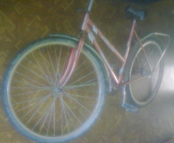 Чоловік регулярно крав у односельчан велосипеди – 03