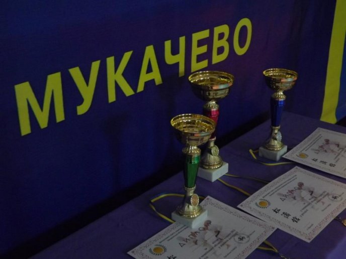 У Мукачеві відбулись обласні змагання з Шотокан карате-до (ФОТО) – 01