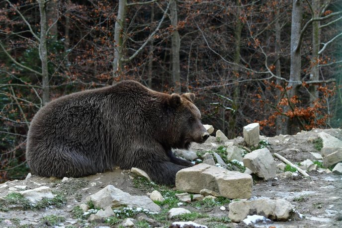 Інтернет-користувачів вразили "зимові" фотографії озера Синевир – 09