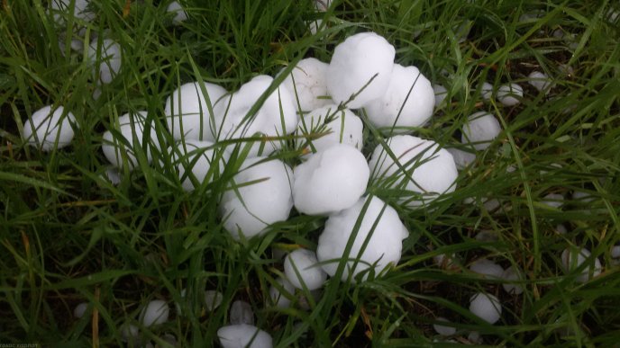 Побиті дахи будинків, вікна, автомобілі: негоду на Виноградівщині вже назвали "катастрофічною" – 11 Побиті дахи будинків, вікна, автомобілі: негоду на Виноградівщині вже назвали "катастрофічною" – 11