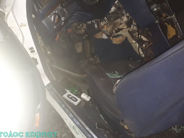 Оприлюднено нові фото з місця ДТП, в якій загинули два хлопці – 03