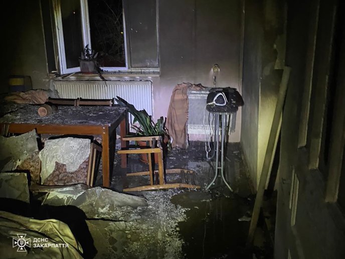 Пожежа у селі Лисичово