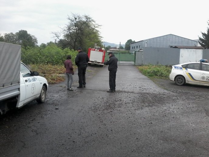 У Мукачеві нелюд жорстоко вчинив із собакою – 01