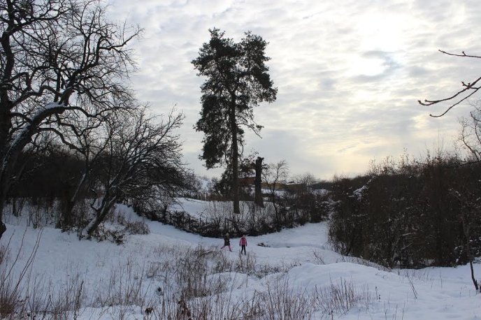 Мукачівці розповіли дивовижну історію своєї подорожі околицями міста – 02