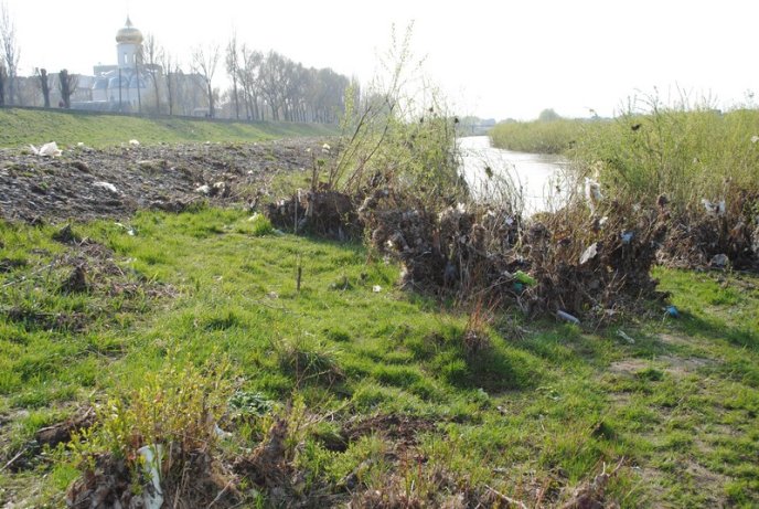 Толока в Мукачеві крізь об’єктив нашого кореспондента (ФОТОРЕПОРТАЖ) – 20