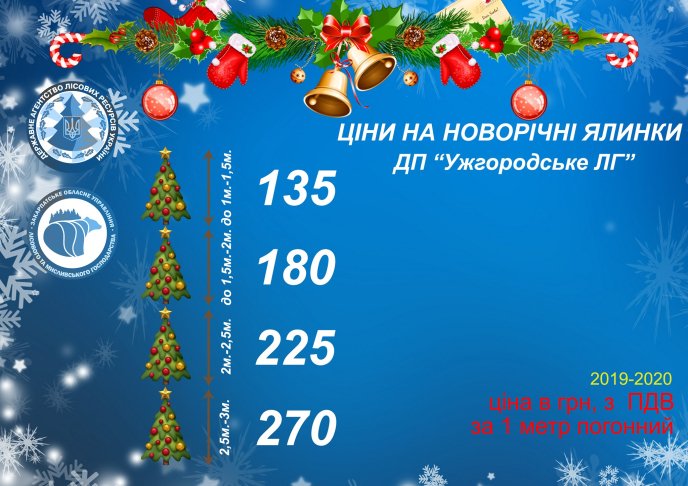 Скільки коштує новорічна ялинка на Закарпатті: оприлюднено ціни у лісгоспах краю – 08