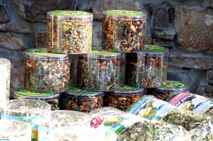 В Ужгороді розпочався «Медовуха Фест» – 14