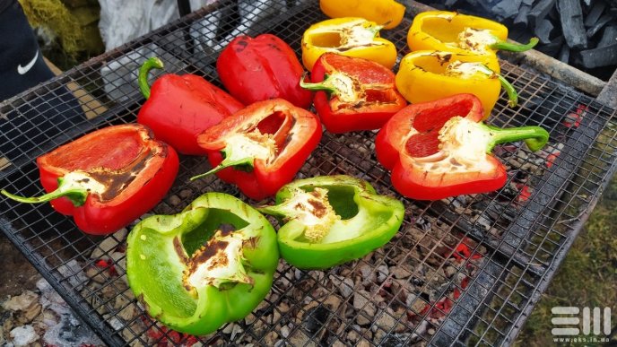 На Берегівщині стартував традиційний фестиваль різників – 16