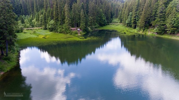 Таким його бачать птахи: користувачі мережі милуються світлинами озера Синевир з висоти – 09