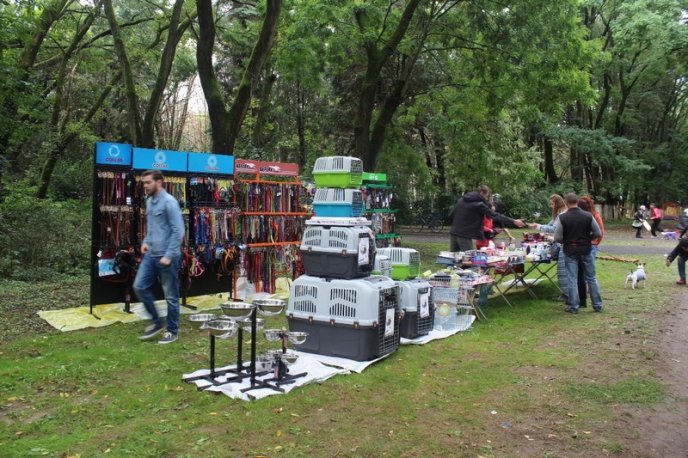 В Ужгород привезли понад 150 собак із різних областей України – 21