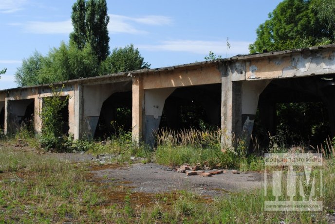 Маленька Прип’ять по сусідству зі школою та багатоквартирним масивом (ФОТО) – 05