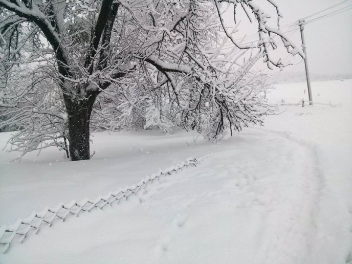 Казкова зима у селі Брестів на Мукачівщині: неймовірні фото – 04