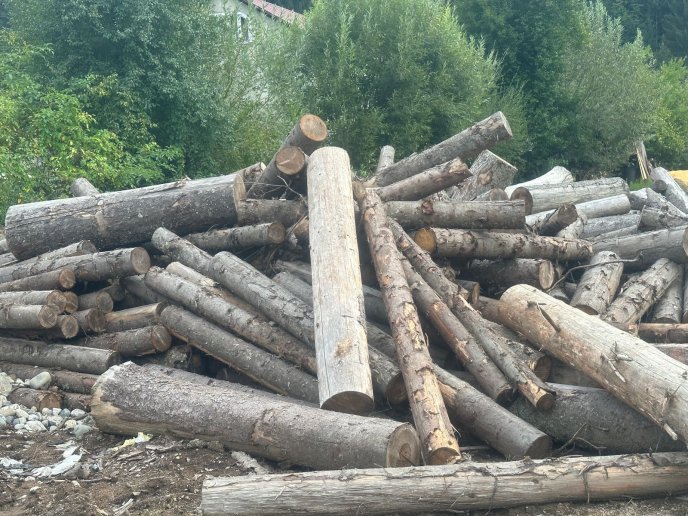 Поліцейські розповіли, що виявили у селі на Рахівщині – 03