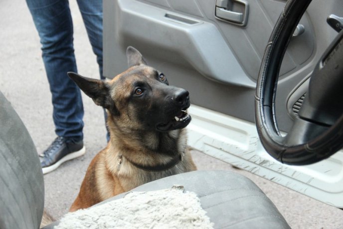 Закарпатець, який повертався із Чехії, сховав наркотики у шкарпетці – 01