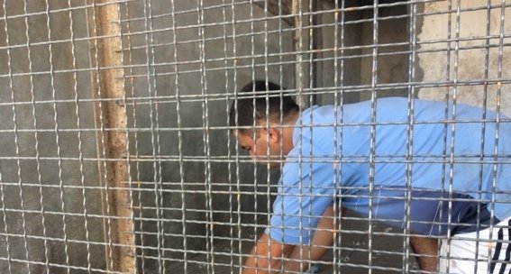 У Мукачеві відбудеться чемпіонат України серед кінологів – 03